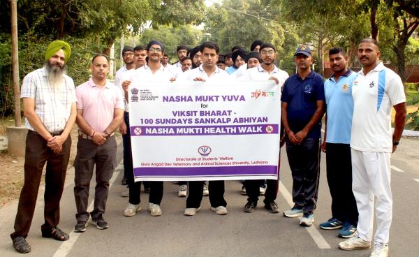 Guru Angad Dev Veterinary and Animal Sciences University, Ludhiana, organised a Nasha Mukti Health Walk under the “Nasha Mukt Yuva for Viksit Bharat – 100 Sundays Sankalp Abhiyan